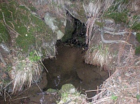 Temnička