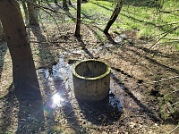 Foto záznam č. 13811 - Lesní studna