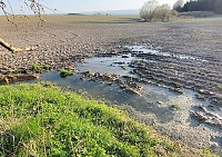 U kravína