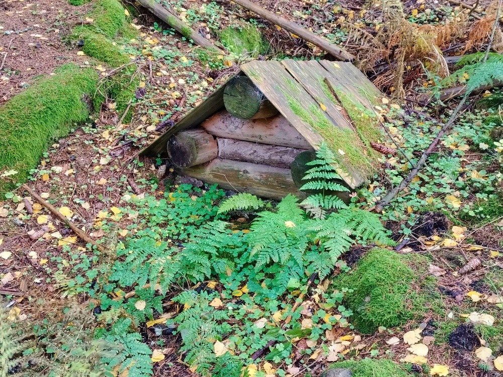 studánka Pod smrkem (15587)