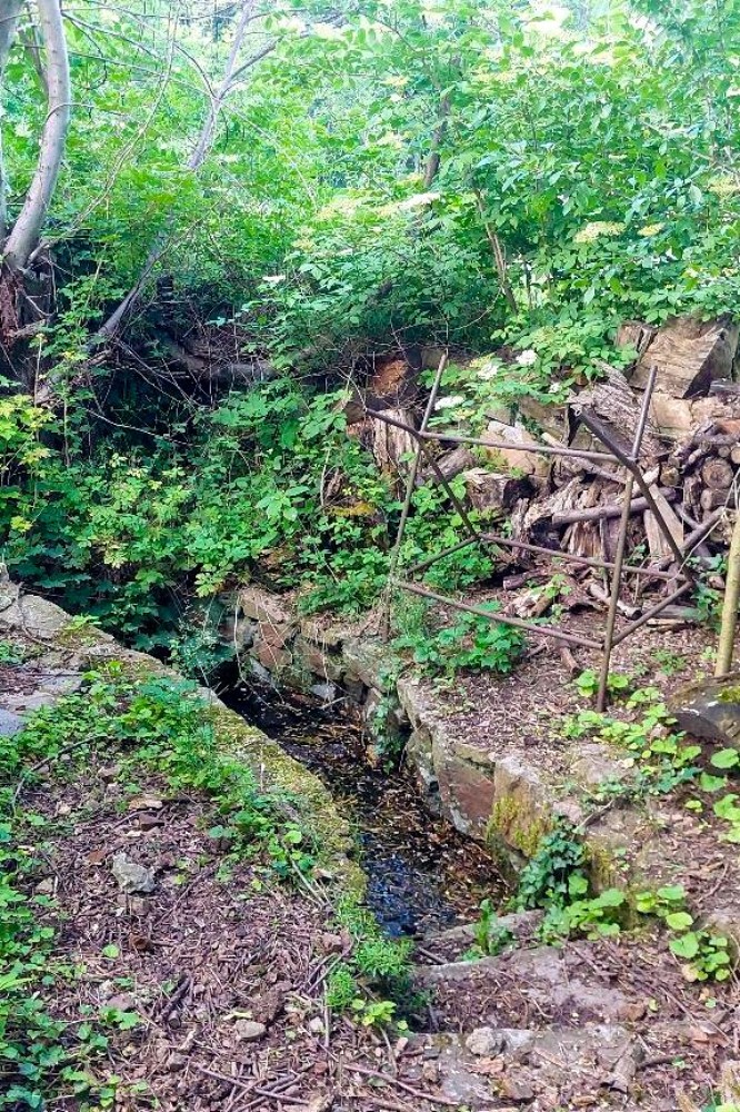Lojovická studánka (15769) - červen 2026