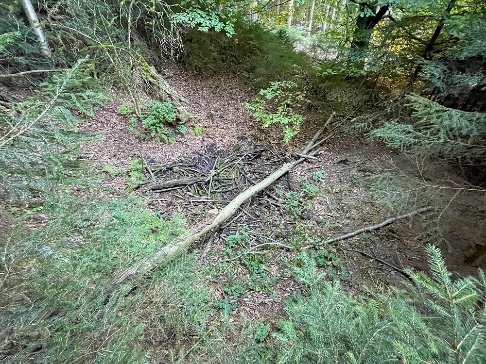 zdroj bez jména