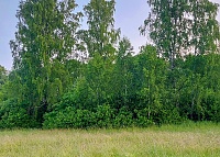 zdroj bez jména