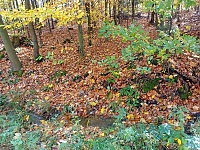 U vodojemu