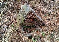 studánka Židovská (15703)