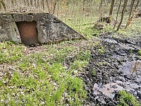 prameniště Novomlýnský pramen (15714)