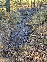 pramen Pod lesem (15715)