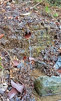 studánka Pod Kalvarijou  (15726)