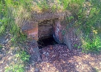 studánka Nádražní (15741)