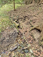 jiný vodní zdroj Nad Dvořicemi (15744)
