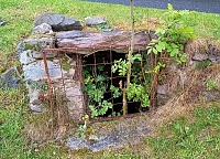 studánka V Mezné (15750)