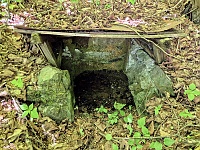 studánka U kempu (15751)
