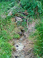 studánka bez jména (15758)