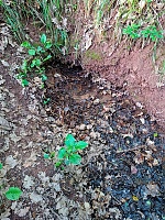 studánka bez jména (15766)
