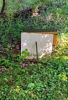 studánka bez jména (15767)