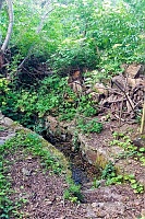 Lojovická studánka (15769)
