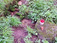 studánka Pramen sv. Marie (15770)