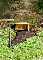 Nedamovská studánka (15778)