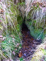 studánka Vorařská (15785)