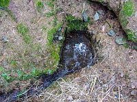 studánka U Černovodské cesty (15786)