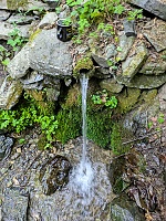 studánka bez jména (15789)