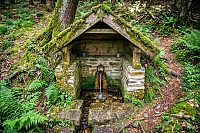 studánka bez jména (15791)