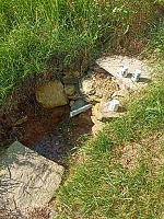 studánka bez jména (15802)