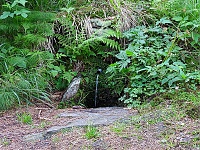 studánka Nad Dobrou vodou (15833)