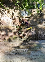 jiný vodní zdroj Obecní máchadlo (15847)
