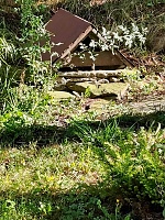 studánka U rybníčka (15865)