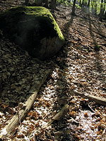 Pod kameněm