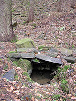 Lesní studánka