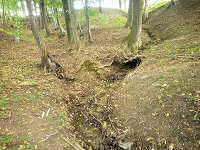 Drašnarův dolíček