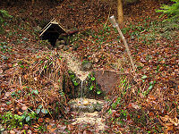 Zlatá studánka