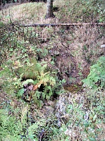 zdroj bez jména
