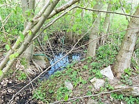 Dobrotická studánka