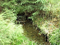 Foto záznam č. 8426 - pramen Klepáčovského potoka