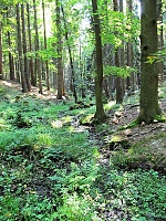 pramen Brodečky (10998)