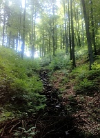 Pod Skalkou