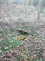 Foto záznam č. 12513 - Lázeňská studánka