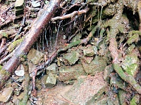 Pod Hrickulou